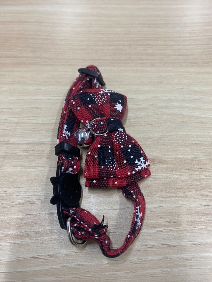 KALUNG CAT 1