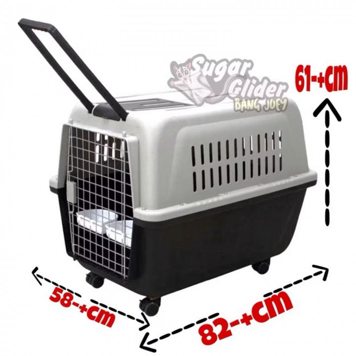 PETCARGO 04