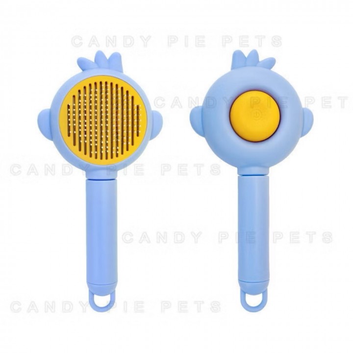SISIR CUTE