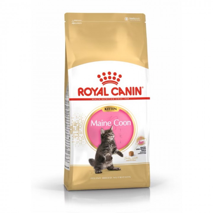 RC MAINE COON KITTEN 2KG