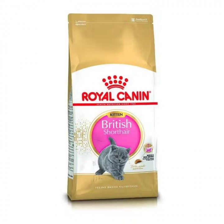 RC Kitten BSH 2KG