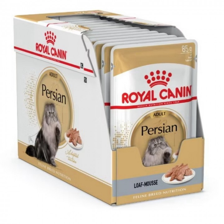 RC PC PERSIAN