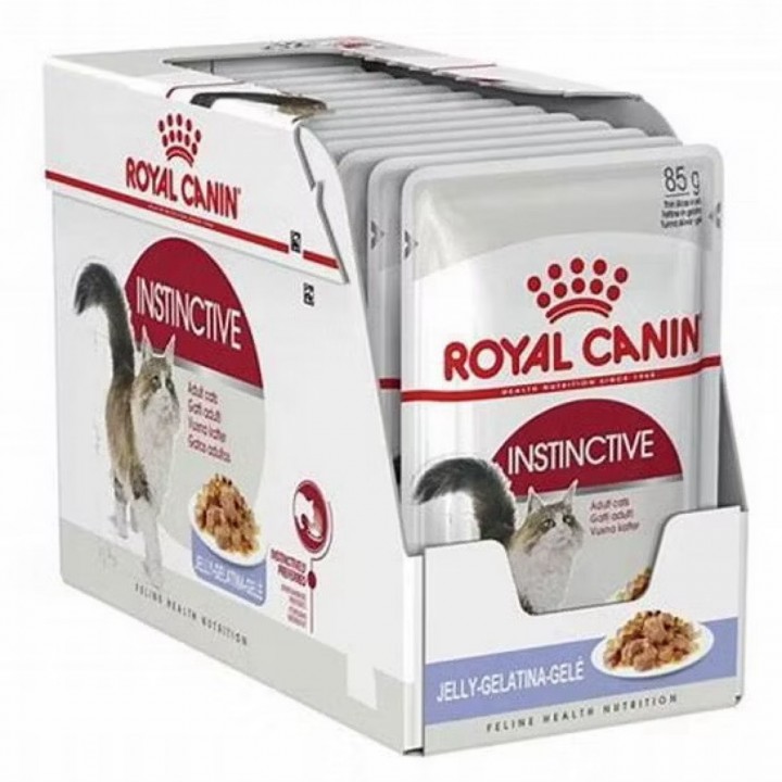 RC PC KITTEN 85gr