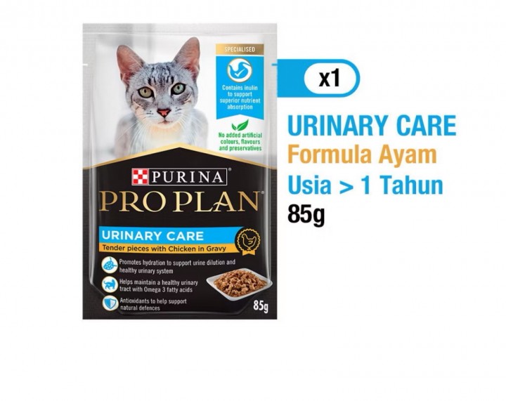 PROPLAIN PC
