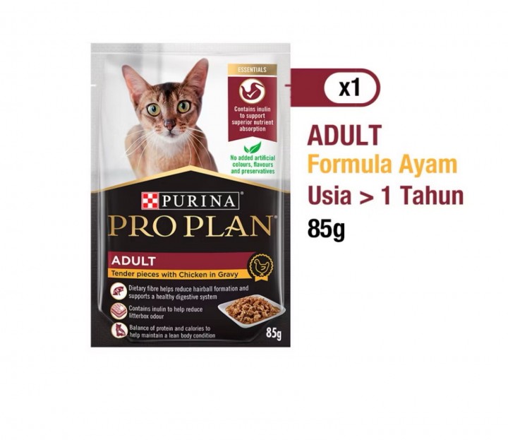 PROPLAIN PC