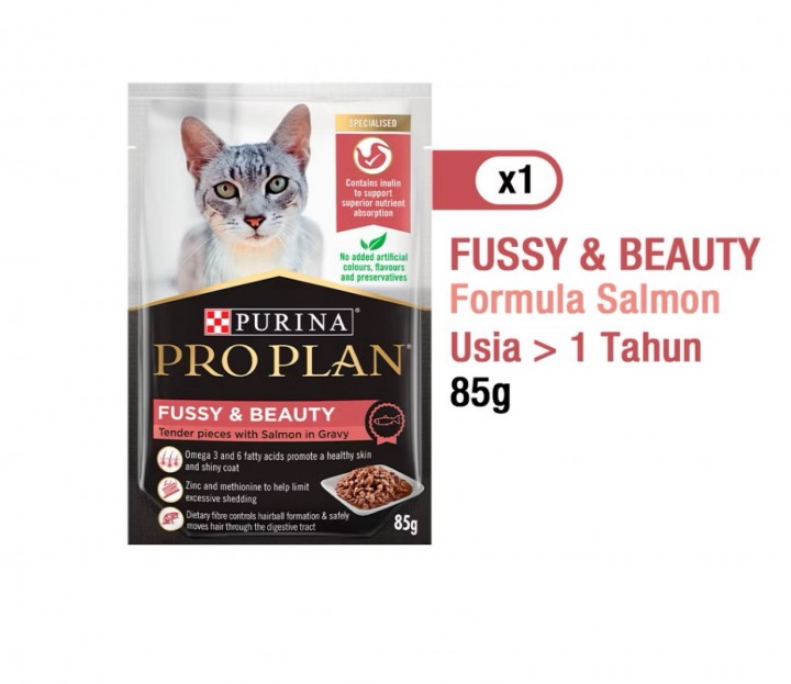 PROPLAIN PC
