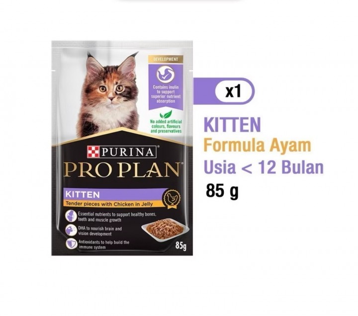 PROPLAIN PC