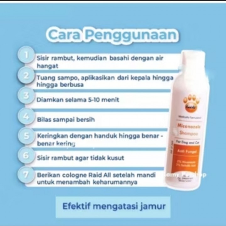 RAID SHAMPOO 100ml
