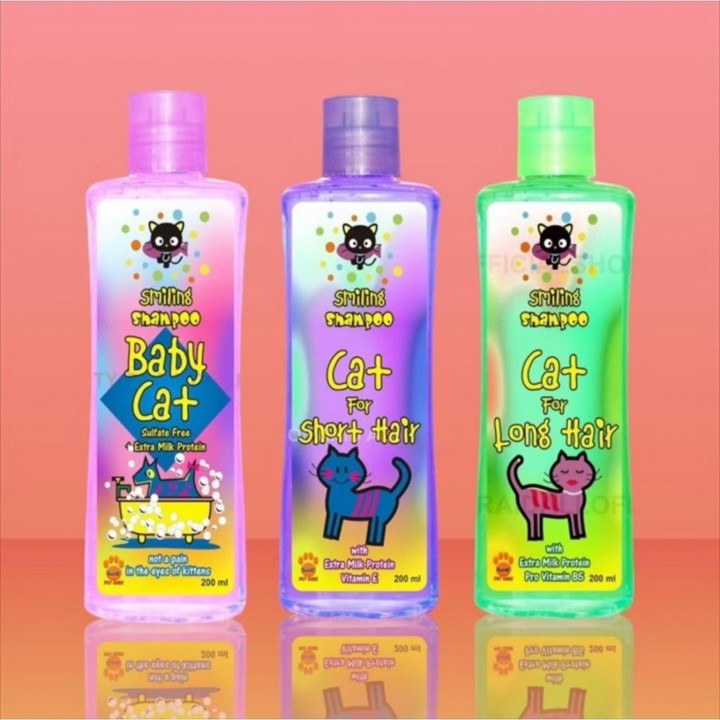 RAID ALL SMILING 200ML